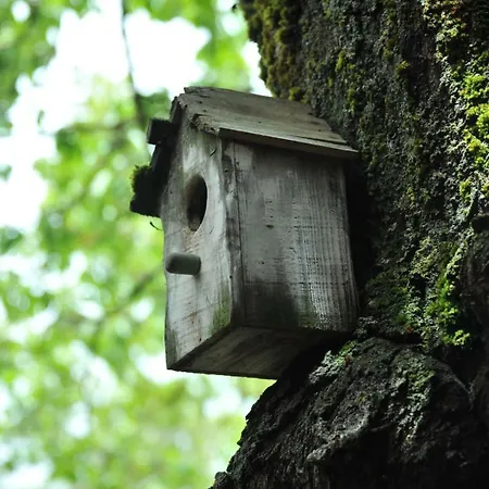 Antico Borghetto - Nórcia