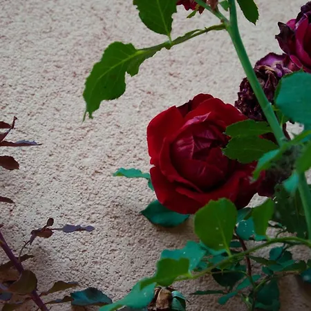 Antico Borghetto - * Norcia