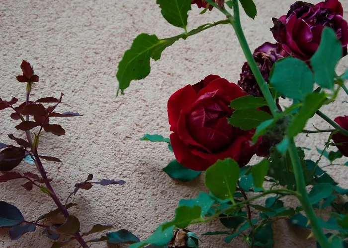 Antico Borghetto - * Norcia